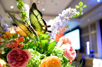 SoSo Strong Gala 2025-1355